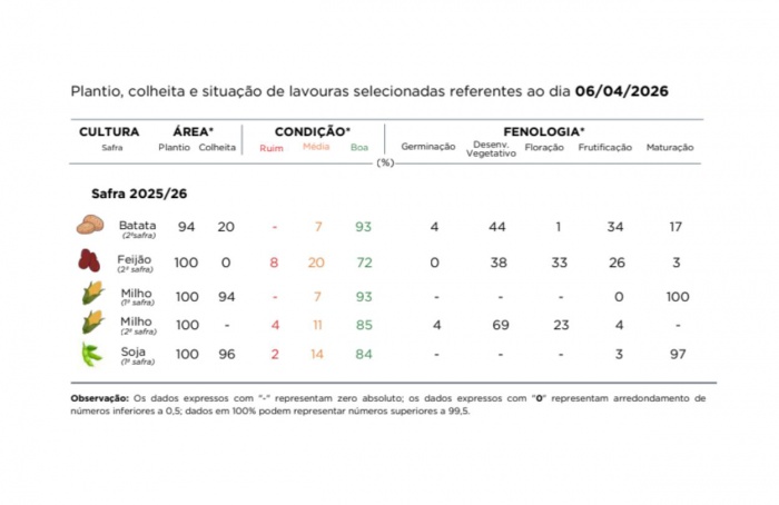 PR Safra 2025/26: plantio do milho safrinha é concluído
