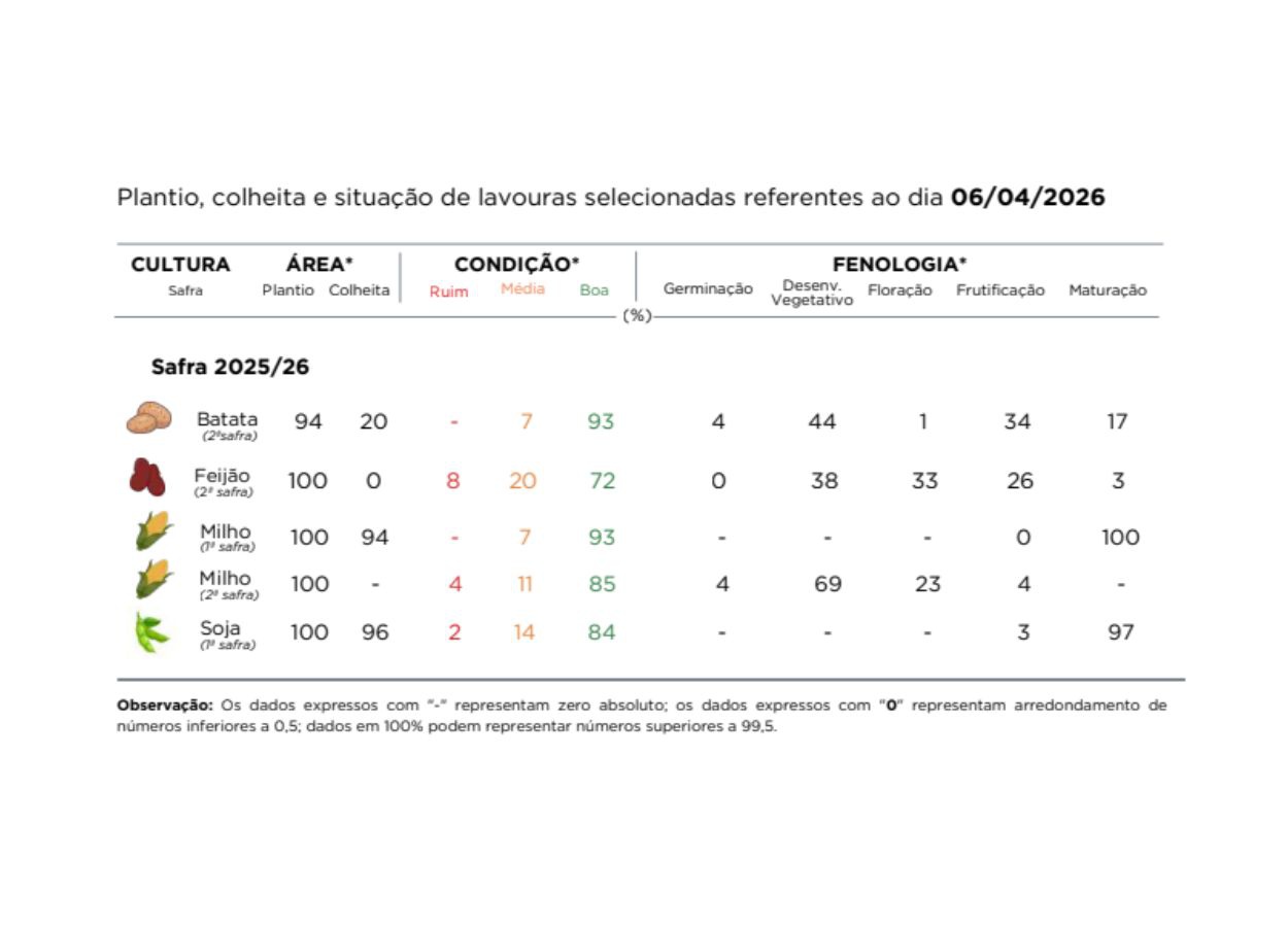 PR Safra 2025/26: plantio do milho safrinha é concluído