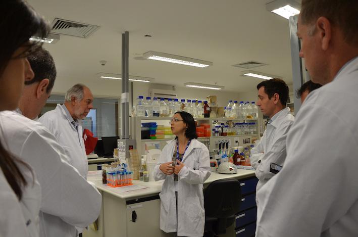 Embrapa e Embrapii unem-se para  pesquisas em Química Renovável