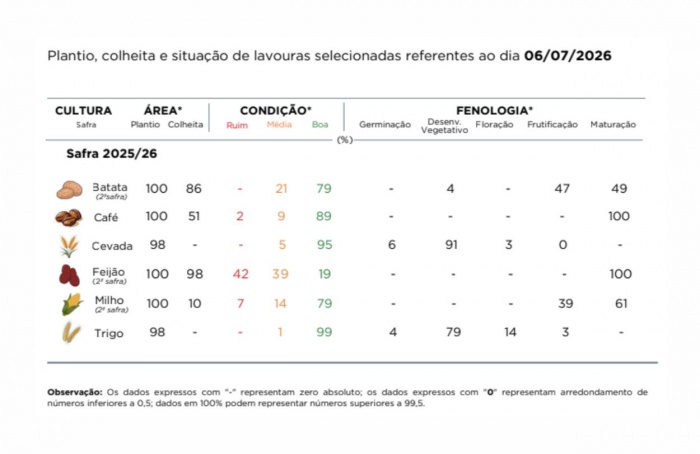 PR Safra 2025/26: excesso de chuva atrasa a colheita do milho
