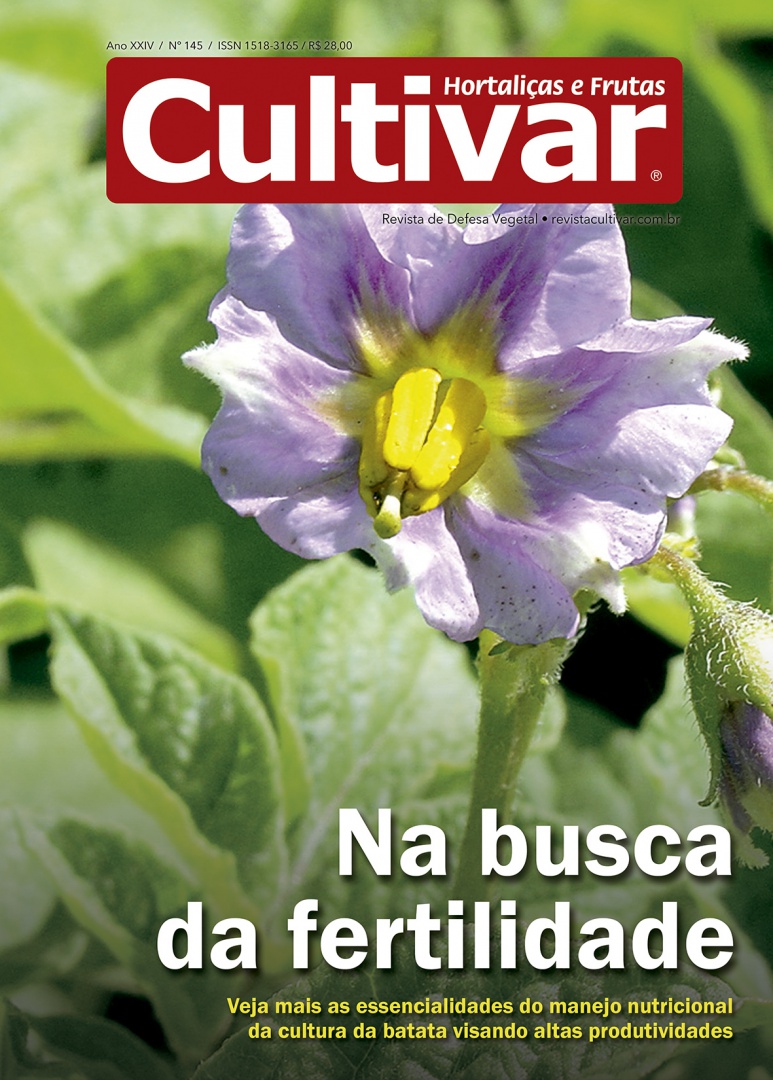 Cultivar HF 145