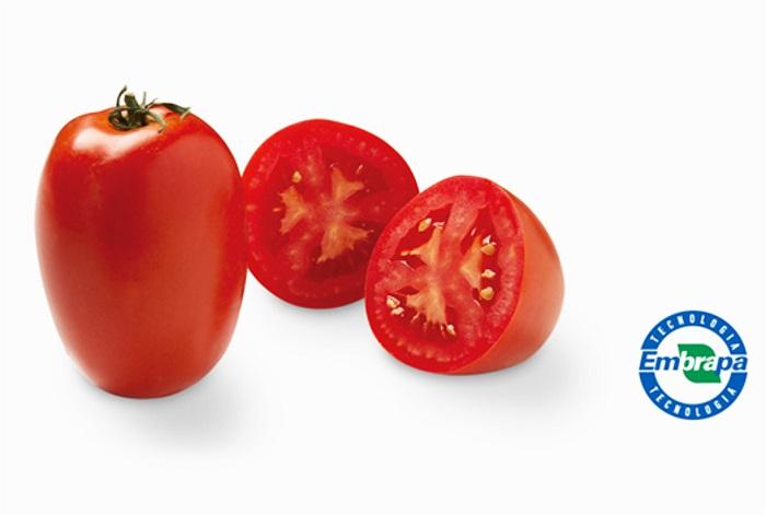 Especial Hortitec: Tomates enriquecidos com licopeno são destaques da Embrapa