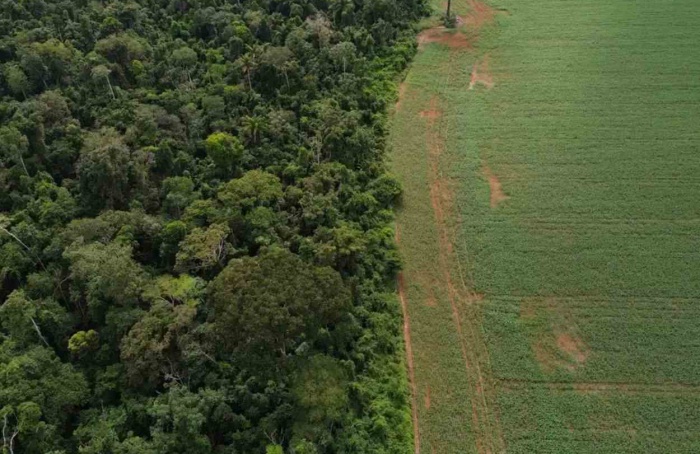 CNA aciona STF contra uso do Prodes no crédito rural