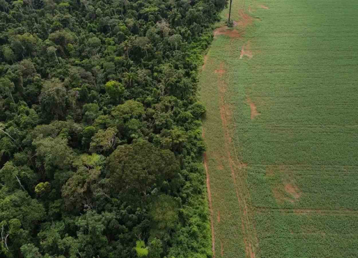 CNA aciona STF contra uso do Prodes no crédito rural