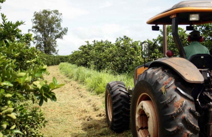 Um mês após tarifaço, agro paulista tem superávit de US$ 14 bi