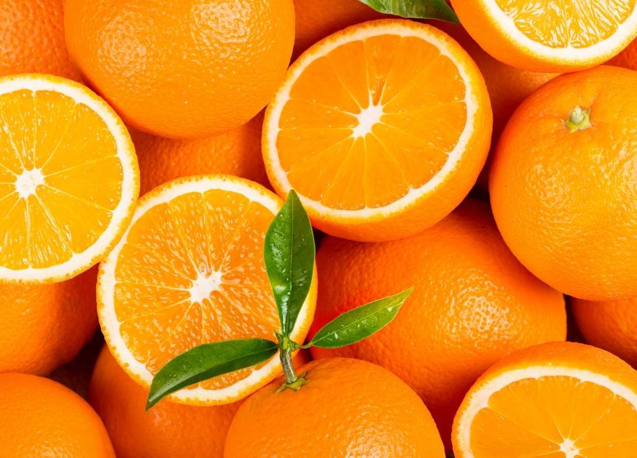 Embrapa reúne especialistas para debater desafios da fruticultura