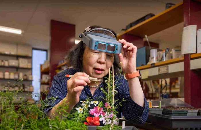 Cientistas desvendam como plantas reconhecem e rejeitam pólen