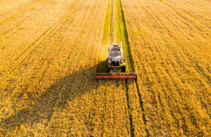 Relatório da Faesp aponta avanços na agropecuária paulista em 2024