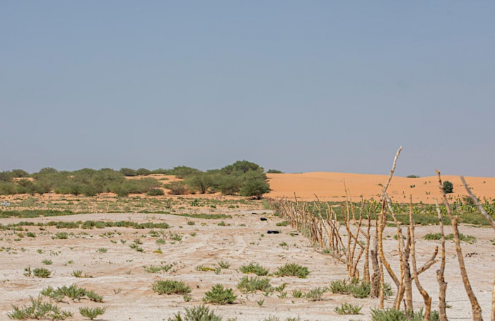 FAO alerta sobre degradação agrícola nos países árabes