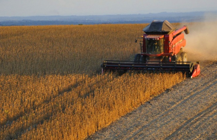 Pesquisas apontam silício como aliado da agricultura no combate às mudanças climáticas