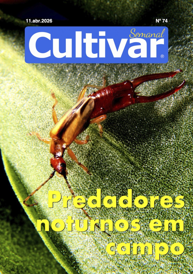 Cultivar Semanal 74