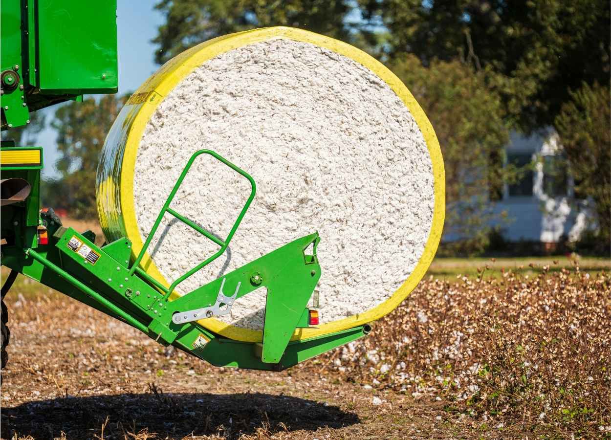 Anea afirma estar otimista com o resultado do mês e incremento dos embarques pelo Porto de Salvador