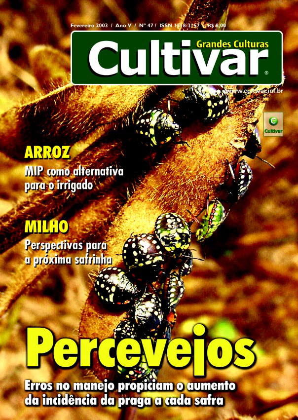 Percevejos