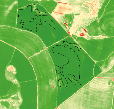  Exemplo de amostragens (partes da área delimitadas por polígonos) na obtenção do NDVI. Imagem obtida de um Sentinel-2 em 3/1/2019.  Água Fria de Goiás (GO)