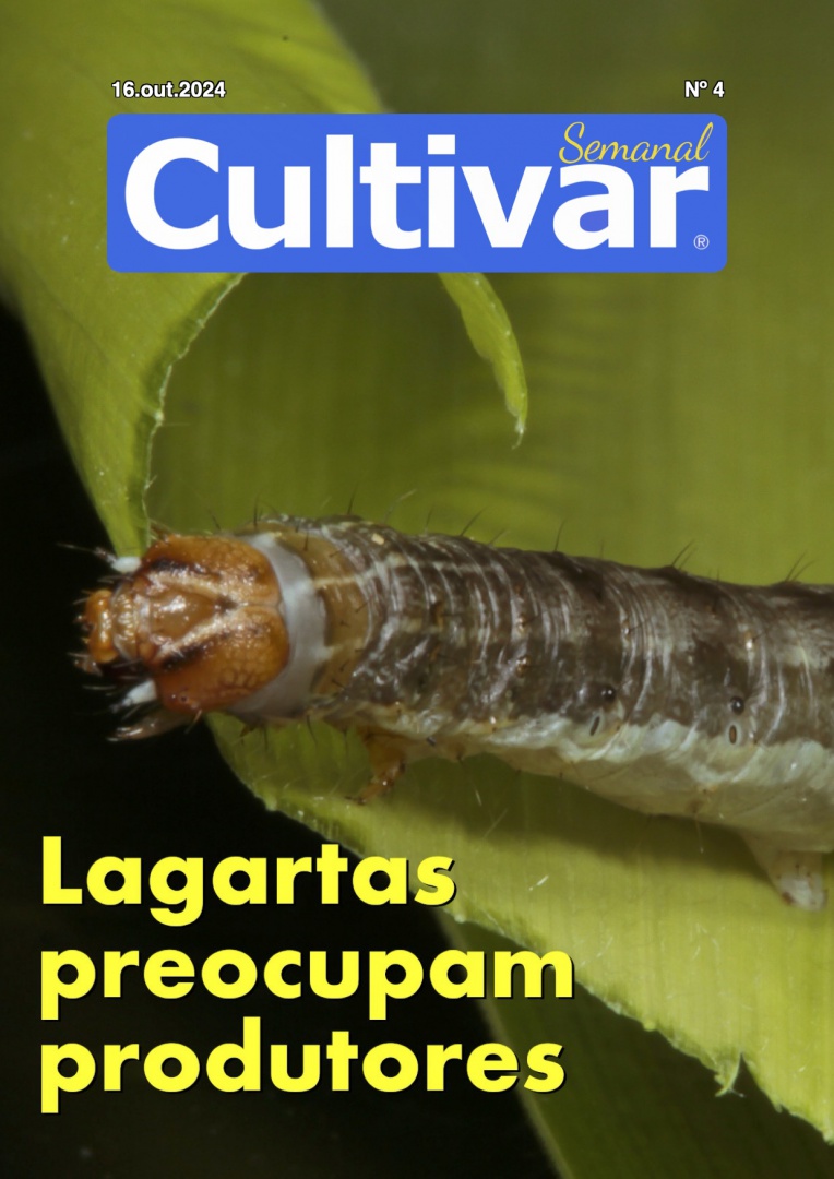 Cultivar Semanal 4