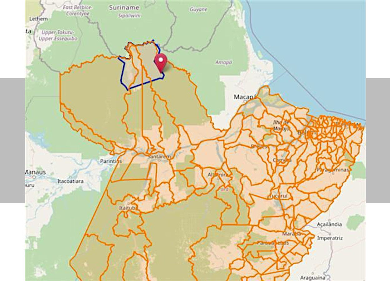 Foco do fungo <i>Ceratobasidium theobromae</i> em mandioca em território indígena no norte do Pará