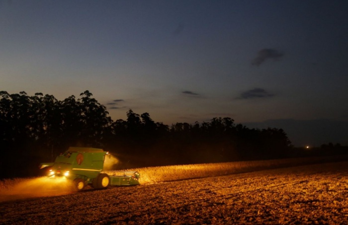 Paraná estende calendário de plantio da soja para sementes