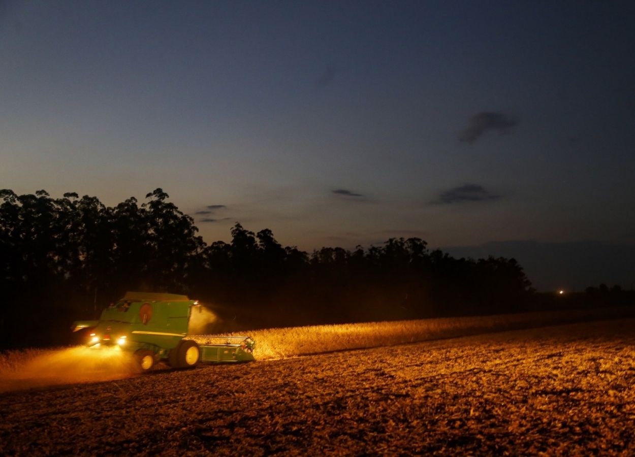Paraná estende calendário de plantio da soja para sementes