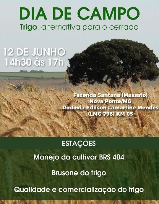 Dia de campo apresenta tecnologias para produção de trigo no Cerrado