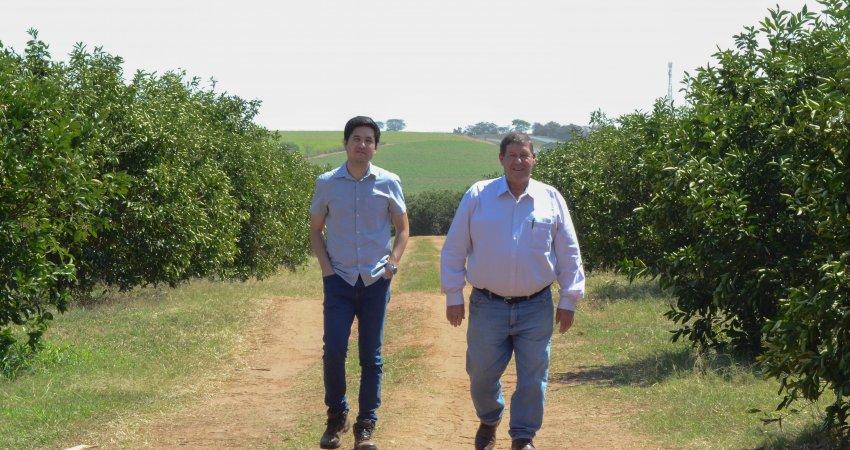 Citricultores fazem consórcio para realizar ações externas contra o greening