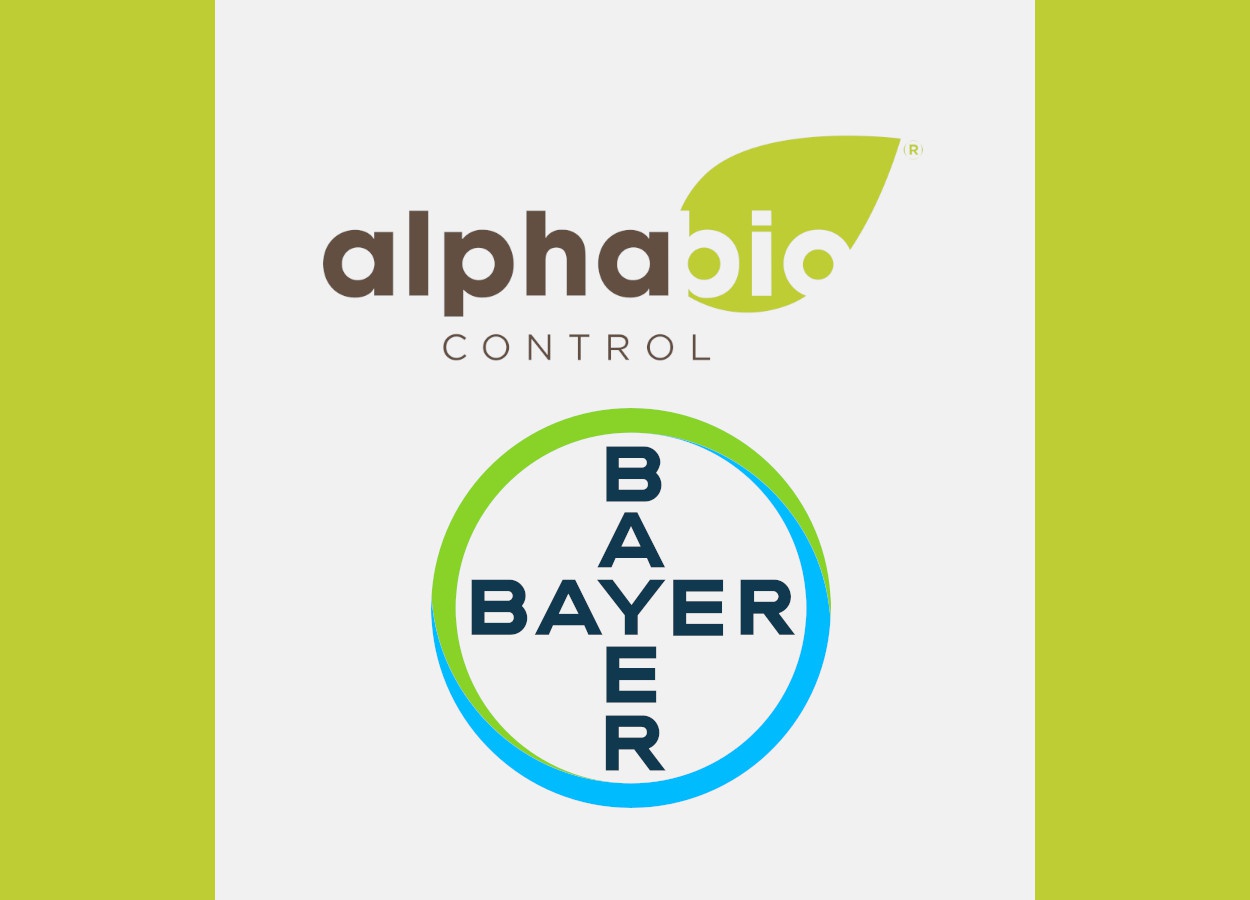 Bayer adquire licença exclusiva para novo bioinseticida para cereais