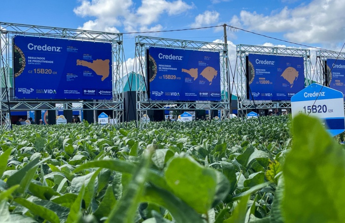 Credenz® soybean seeds complete 10 years in Brazil