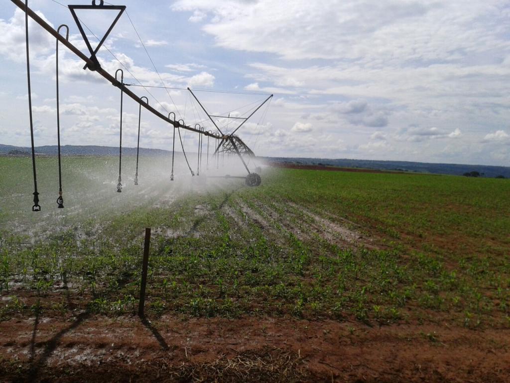 Oceana Brasil lança produto para fertilização do solo com liberação imediata de nutrientes