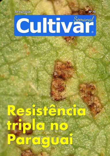 Cultivar Semanal 70