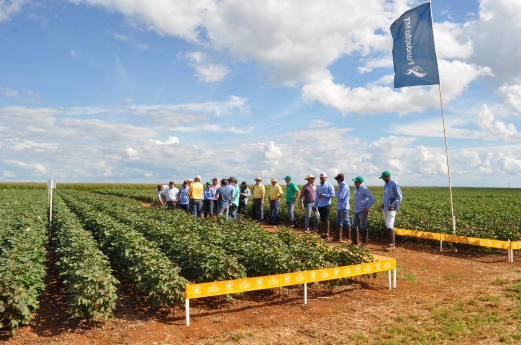 Fundação MT em Campo 2018 apresenta resultados de dez anos de pesquisas