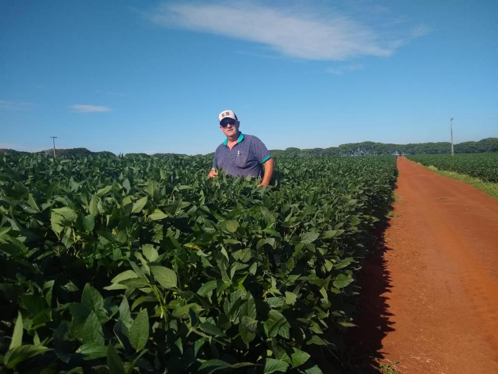 Dosador de sementes aumenta a produtividade e reduz perdas de fazenda em SP