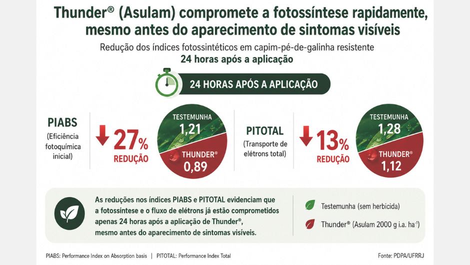 Figura 3