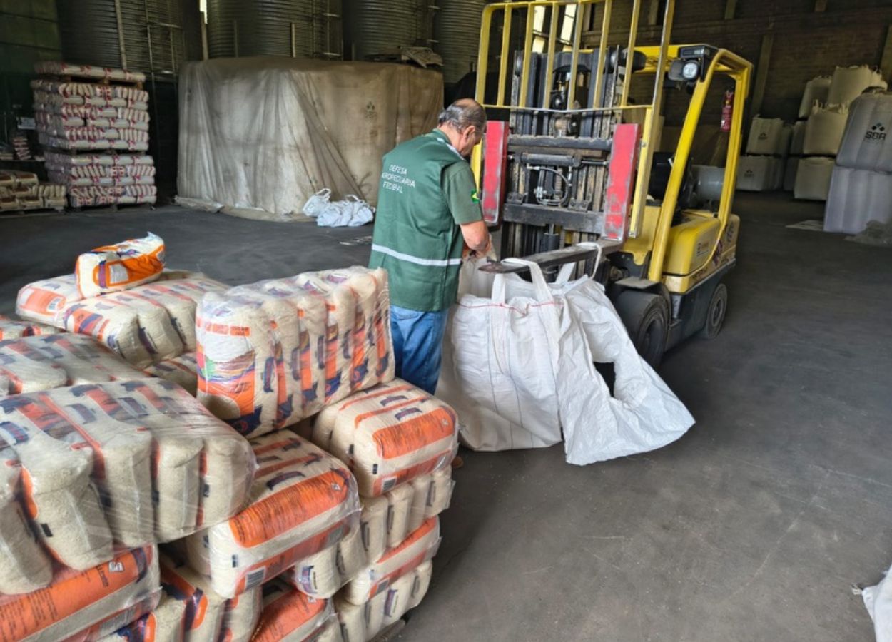 Fiscalização apreende arroz e feijão irregulares em SP