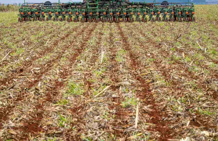 Prorrogado até 12 de janeiro o prazo para semeadura da soja em Goiás