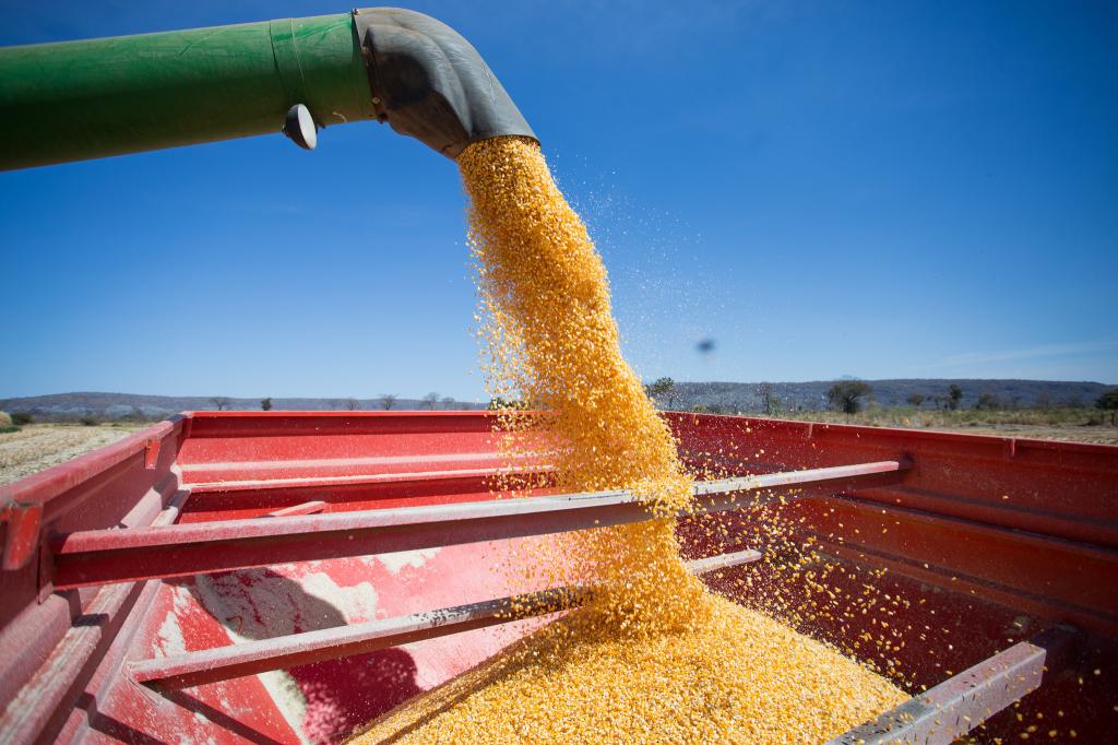 Censo Agropecuário mostra radiografia do campo