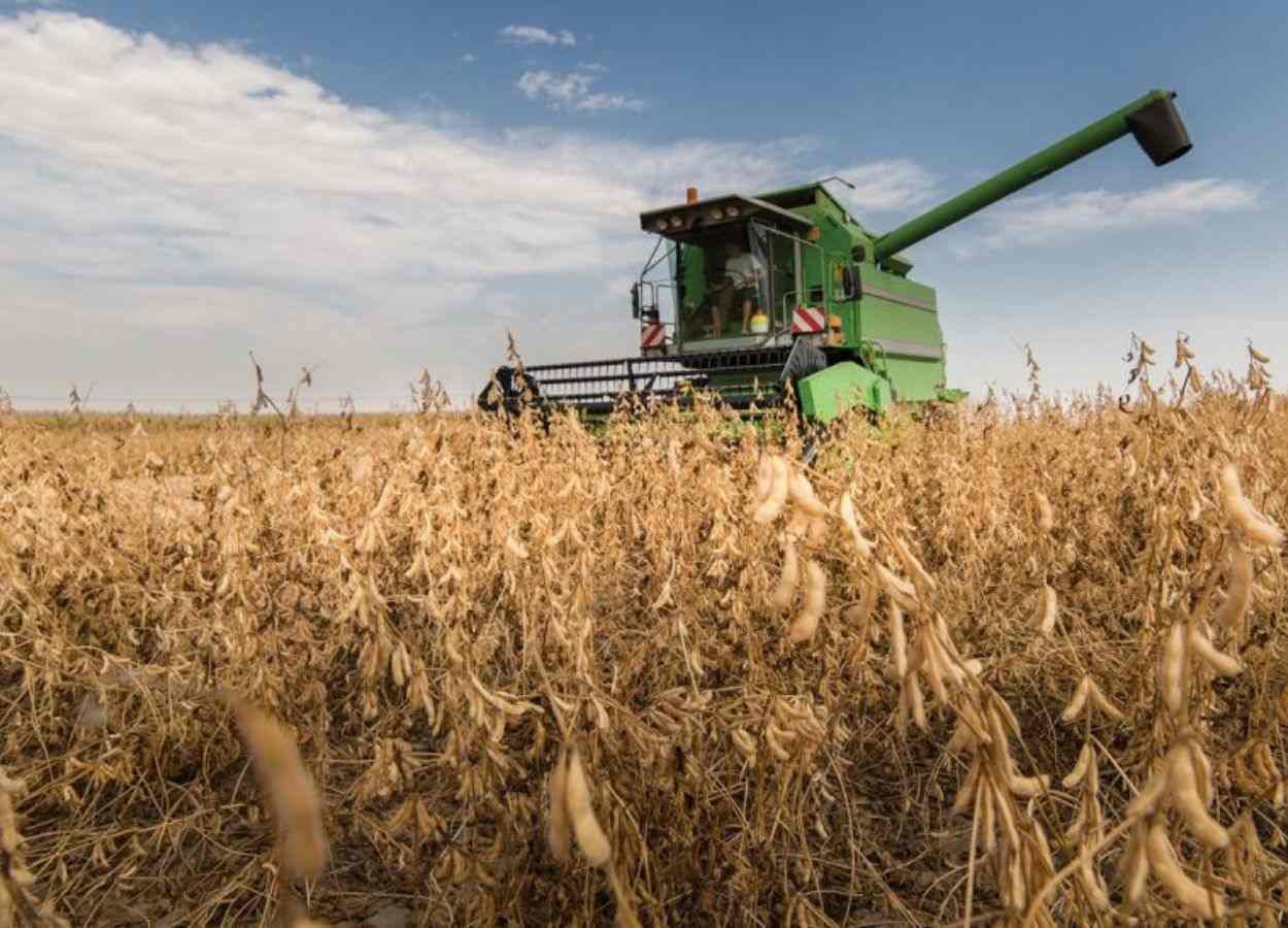 Safra paulista de soja deve alcançar recorde em 2025/26