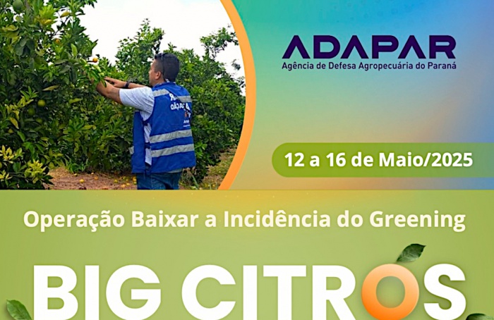 Paraná intensifica combate ao Greening com força-tarefa em 16 municípios