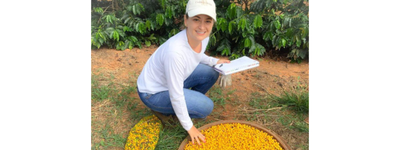 EPAMIG offers qualified coffee seeds for immediate delivery
