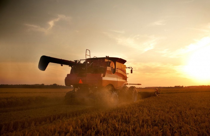 Agro Paulista registra superávit de 9,7% nos sete primeiros meses de 2024