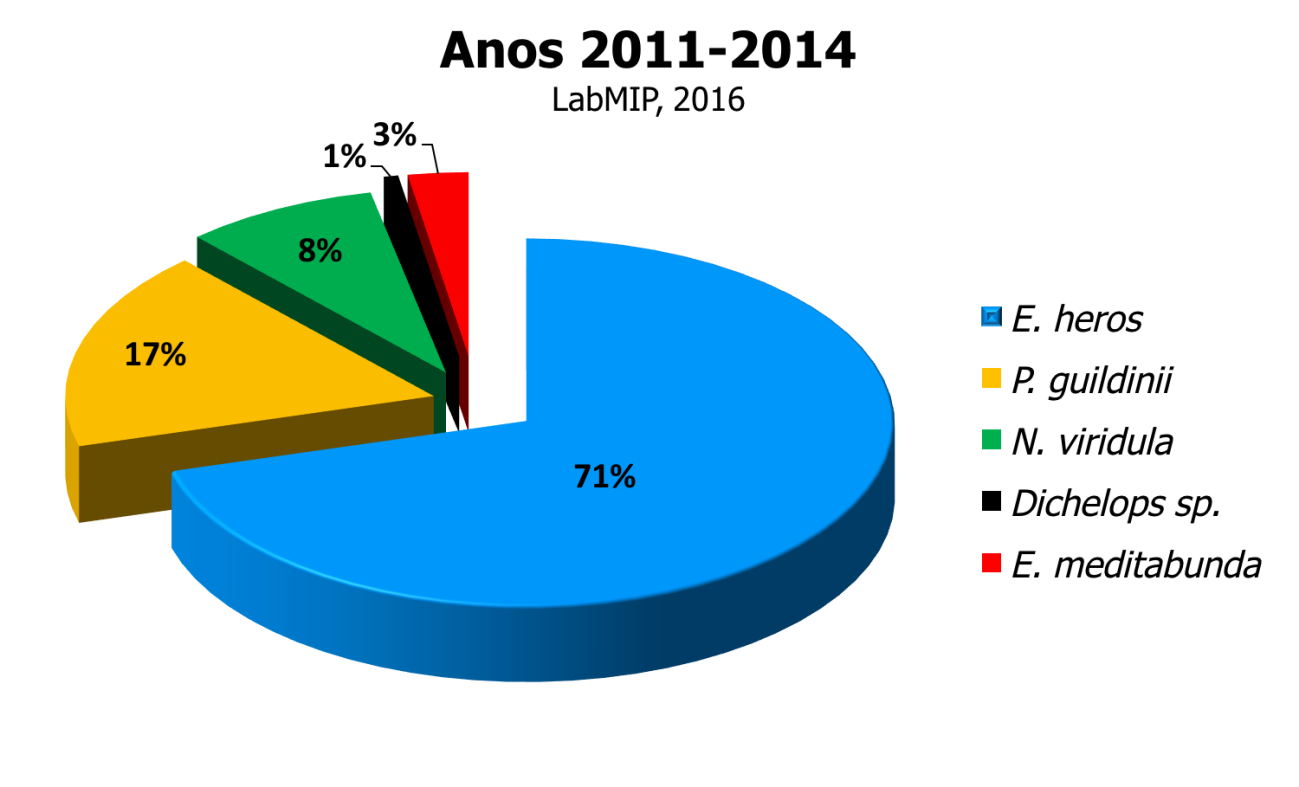 Figura 1 - Proporção de espécies de percevejos da soja.