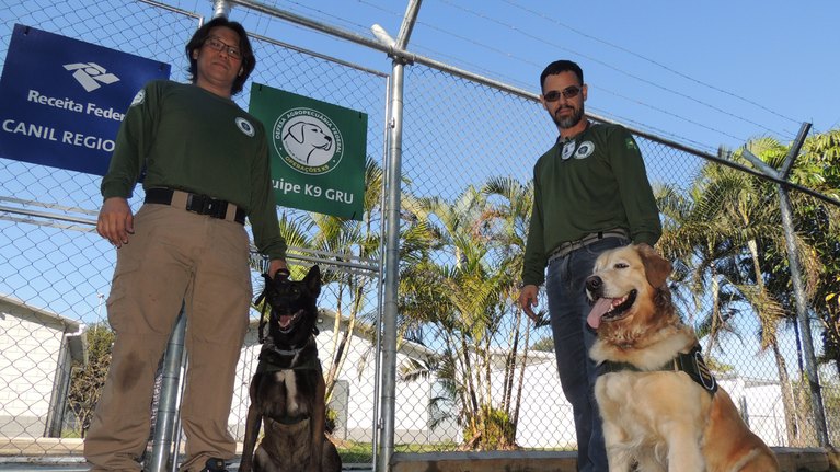 Fiscalização com cães farejadores no aeroporto de Guarulhos (SP) reforça o controle de entrada de produtos proibidos no país