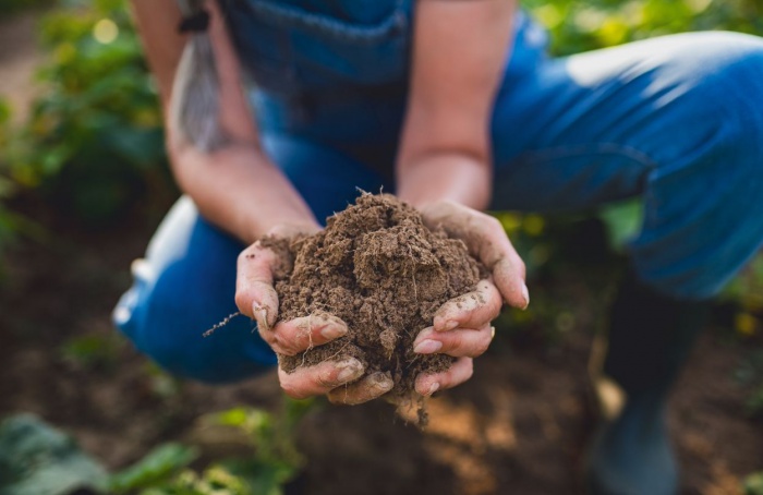 Agricultura regenerativa avança no Brasil, mas carece de mercado
