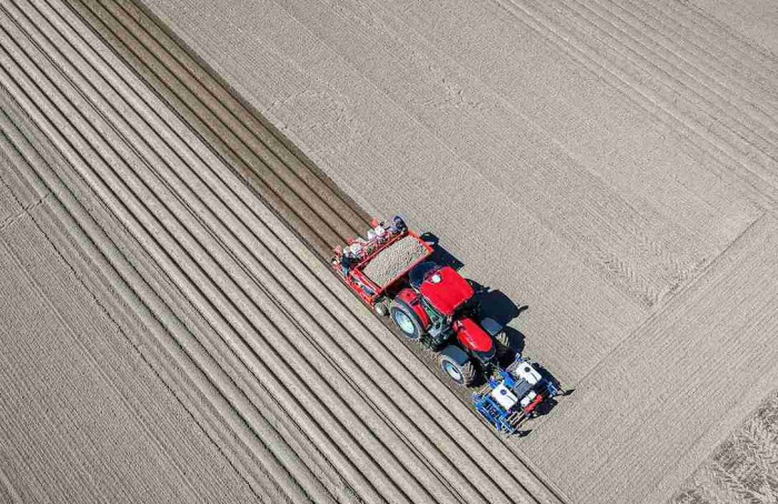 PotatoEurope 2026 inicia ensaios de campo na Alemanha