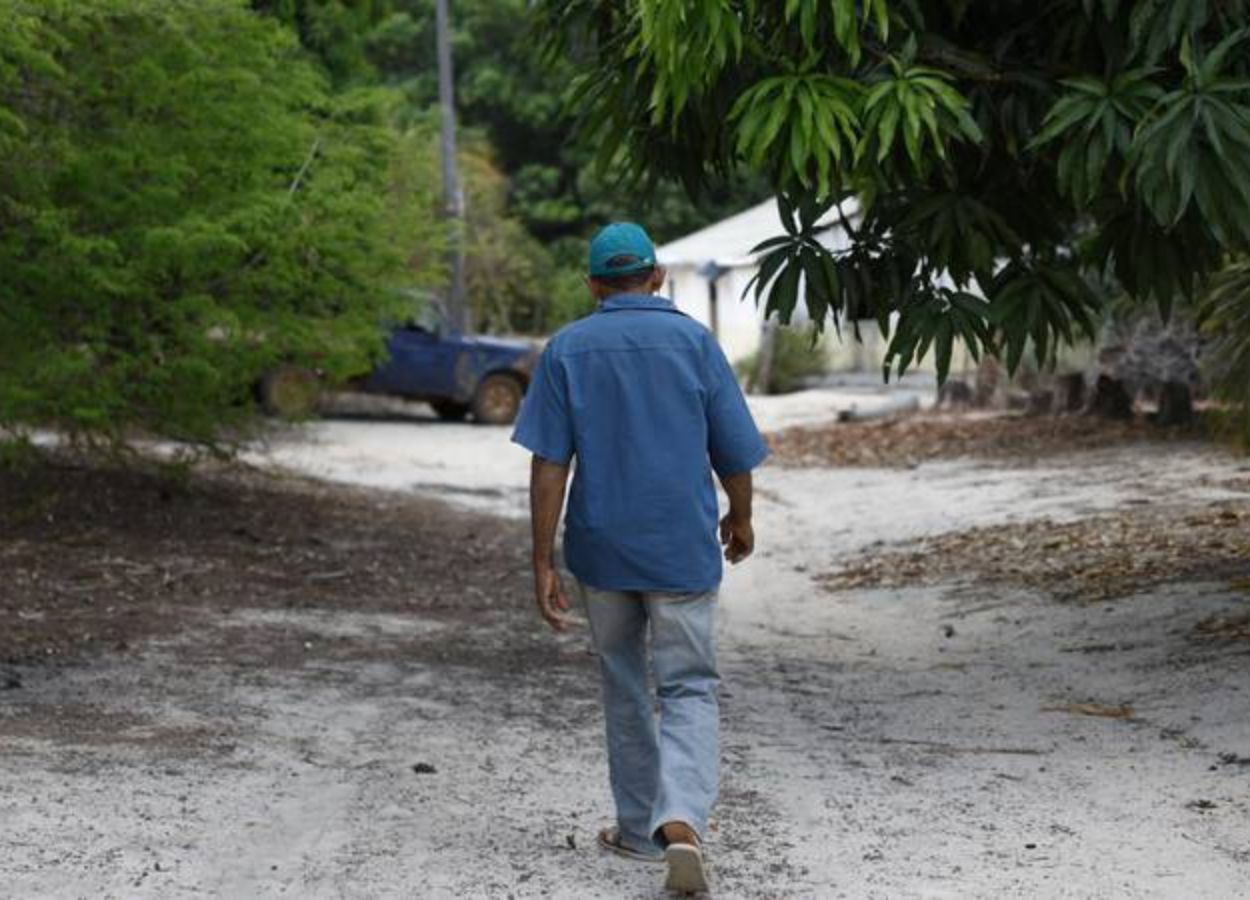 Governo e Senado discutem alívio a dívidas do agro