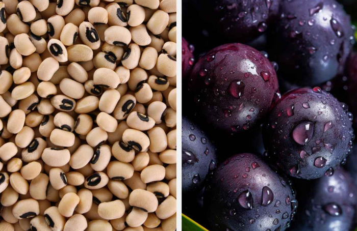 Cowpea and açaí are included in PGPAF bonuses calculated by Conab