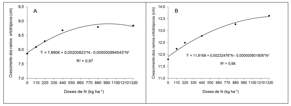 Figura 3. Estimativa do crescimento acumulado dos ramos ortotrópicos do cafeeiro conilon, em função das doses de N (kg ha-1), nas épocas de avaliação Nov./2012 (A) e Dez./2012 (B)