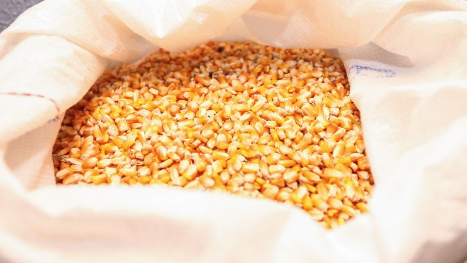 Foto: Geraldo Bubniak