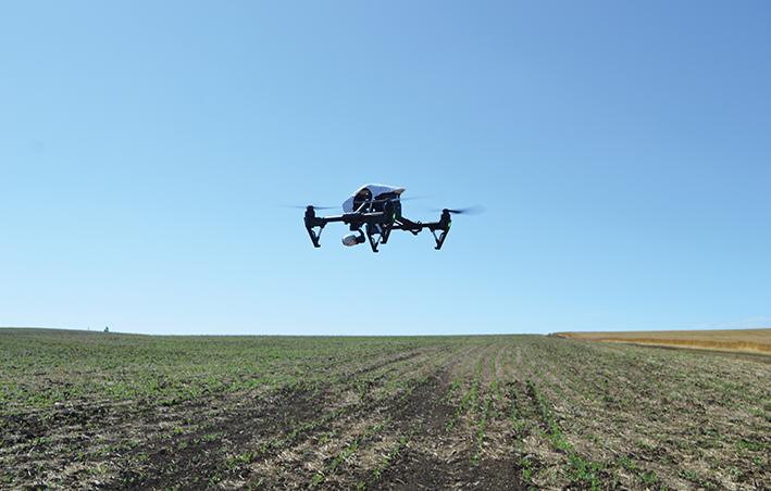 Uso de drones na detecção de doenças nas culturas da maçã e uva