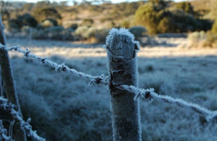 Ferramenta de monitoramento de frio desenvolvida pela Epagri recebe atualização