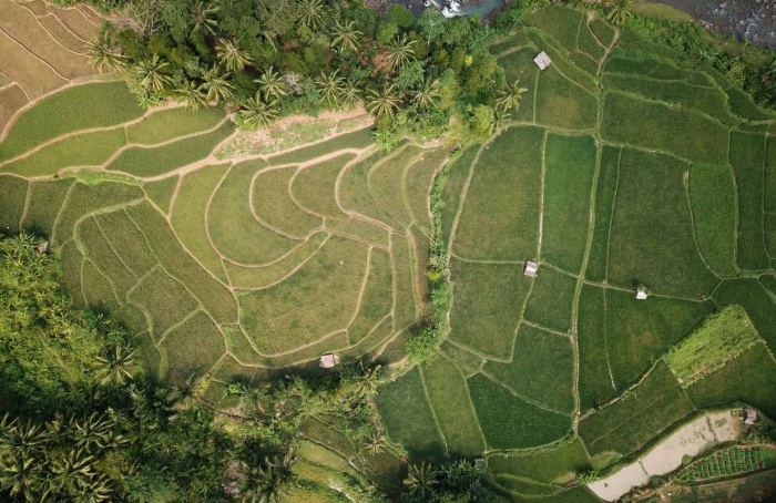 Minas lidera busca por terras rurais no Brasil