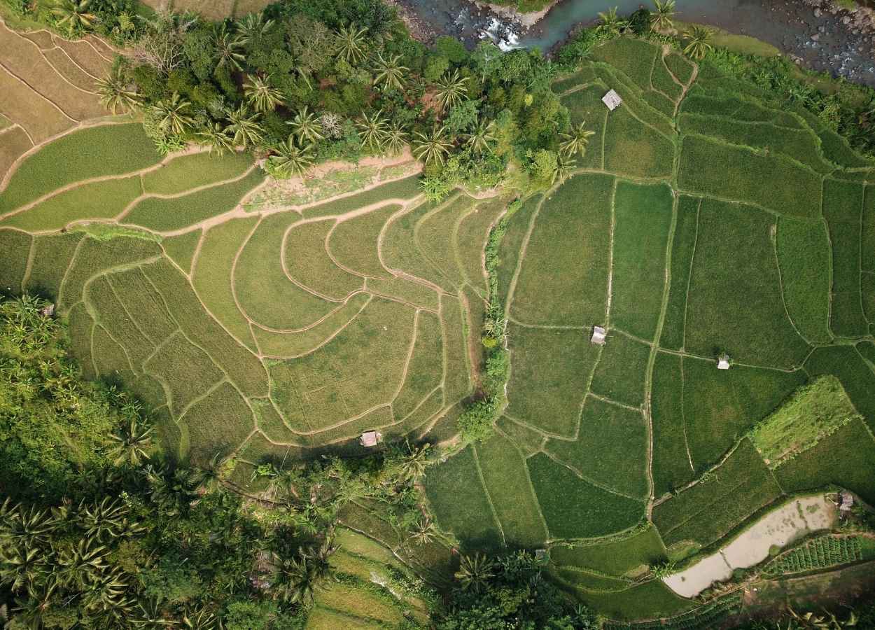 Minas lidera busca por terras rurais no Brasil